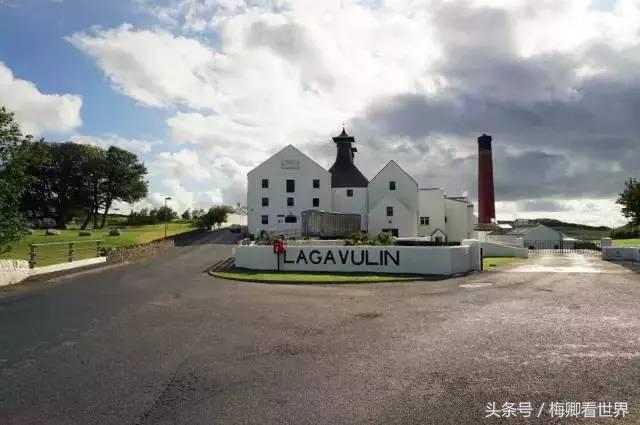 品味生命之美歌曲,生命之水感悟