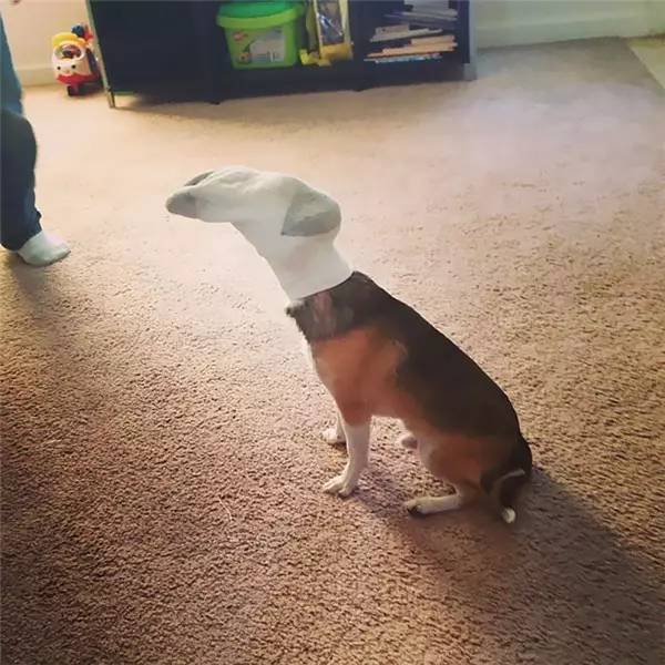 脑洞短片推荐：熊孩子把老师给玩炸了