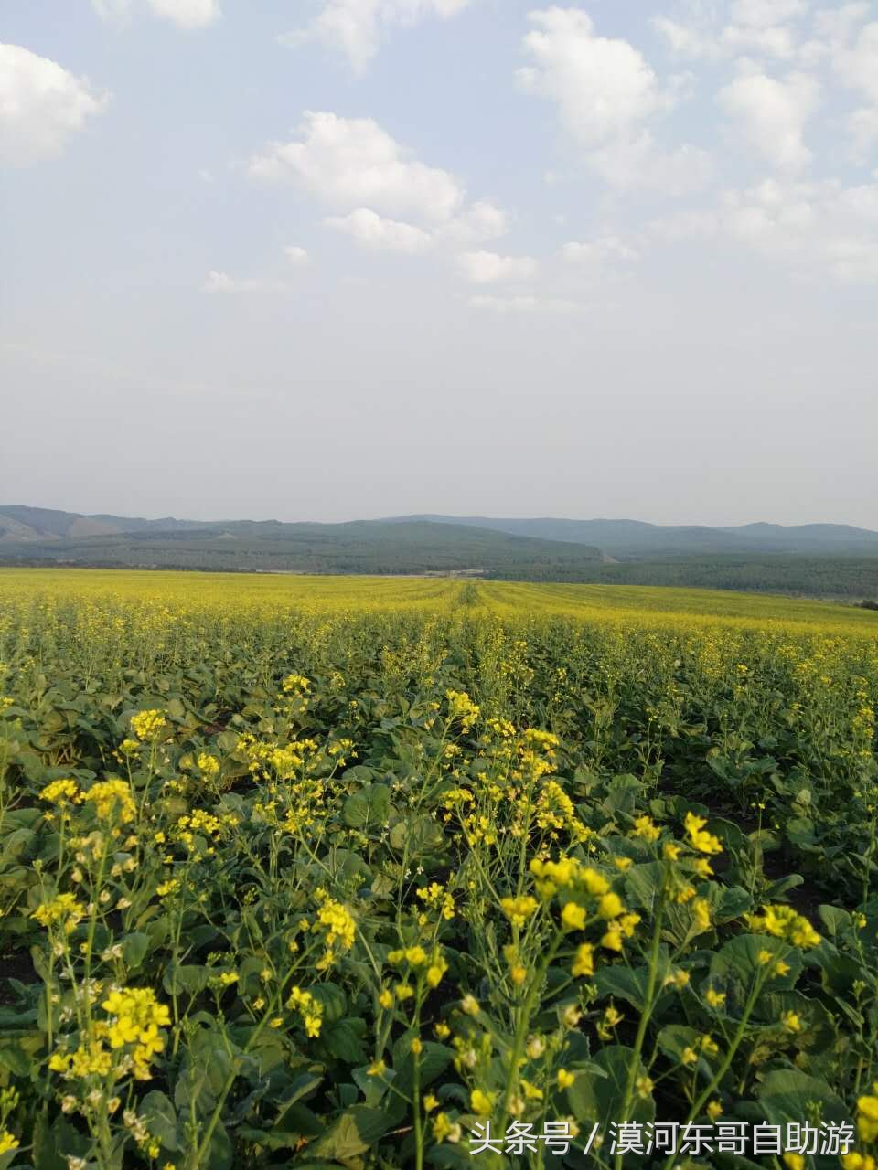呼伦贝尔漠河旅游攻略夏季,漠河呼伦贝尔阿尔山10日游攻略