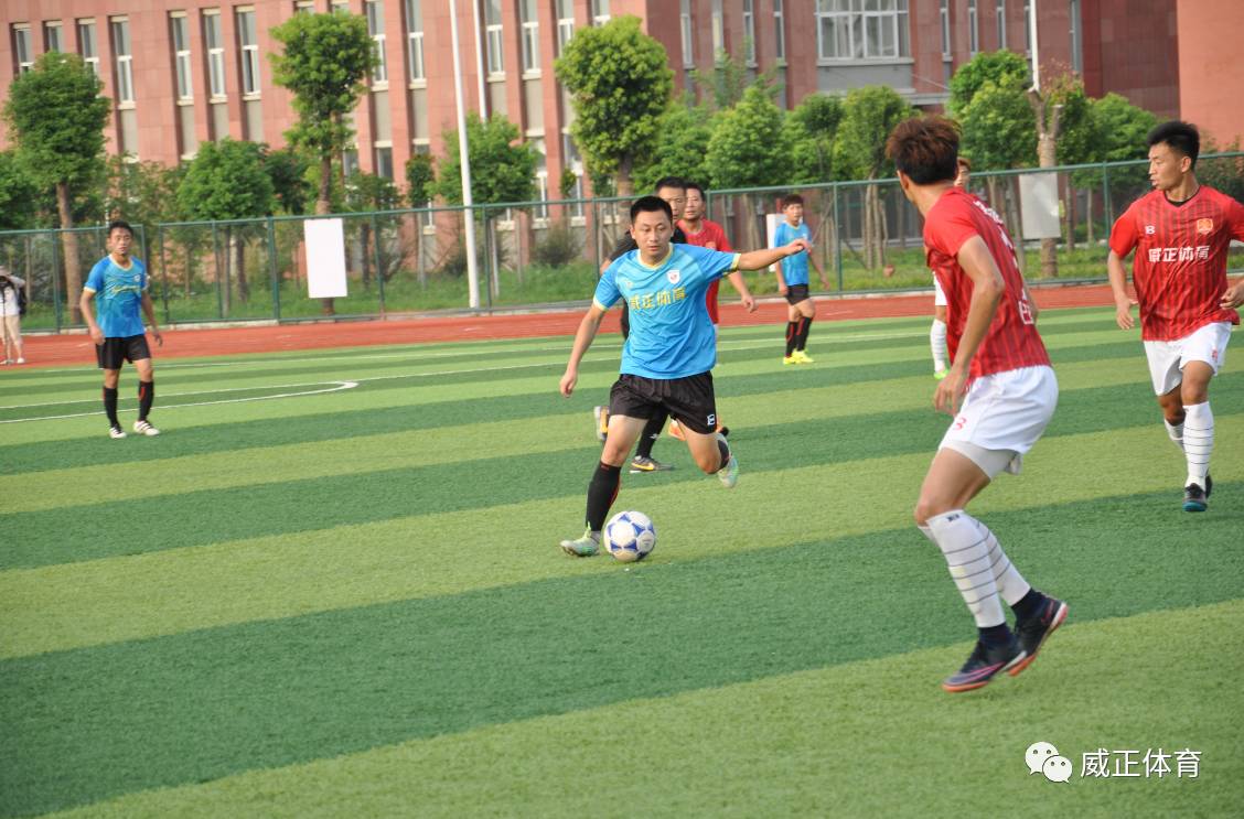 战报精彩视频大全,战报完整版视频