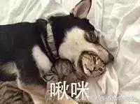 虐哭母鸡，打败名创，大创最好用的Top10好物分享