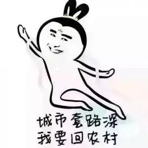 日本pola美白丸能淡黄褐斑吗,日本pola美白丸真假辨别