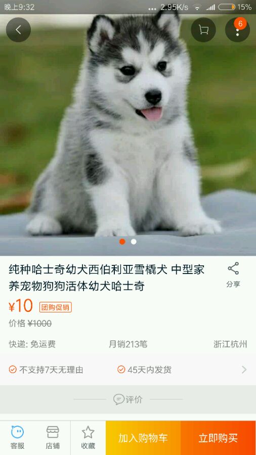 10块钱买的二哈,二哈10块钱一只