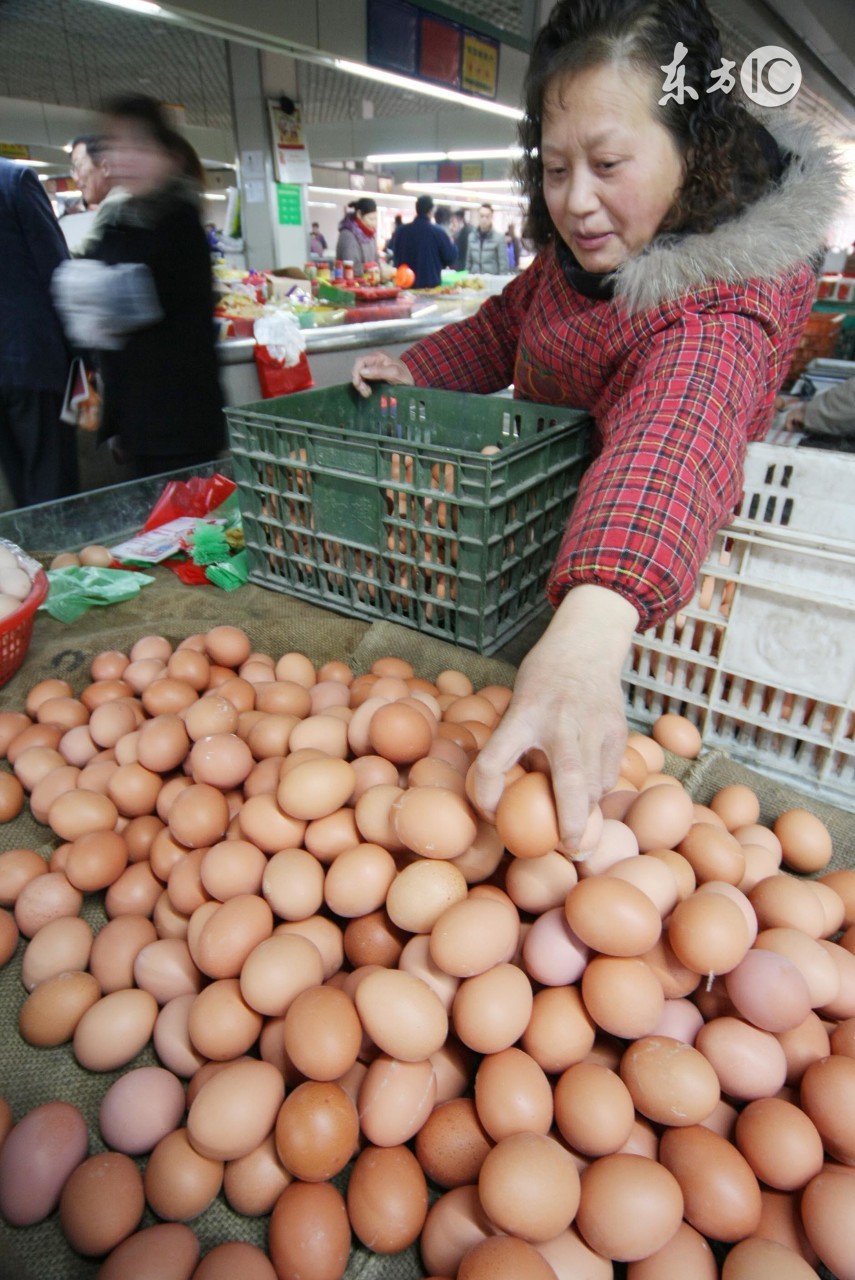 蛋农价格最新行情,蛋价稳中偏弱走货速度放缓