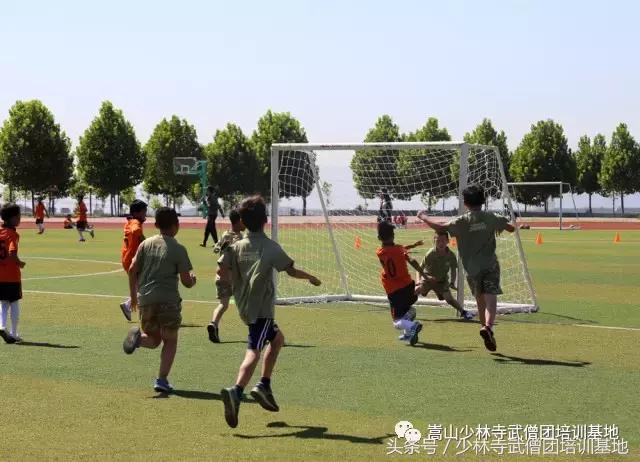 暑假可以到哪里学武术,暑假去少林寺学功夫