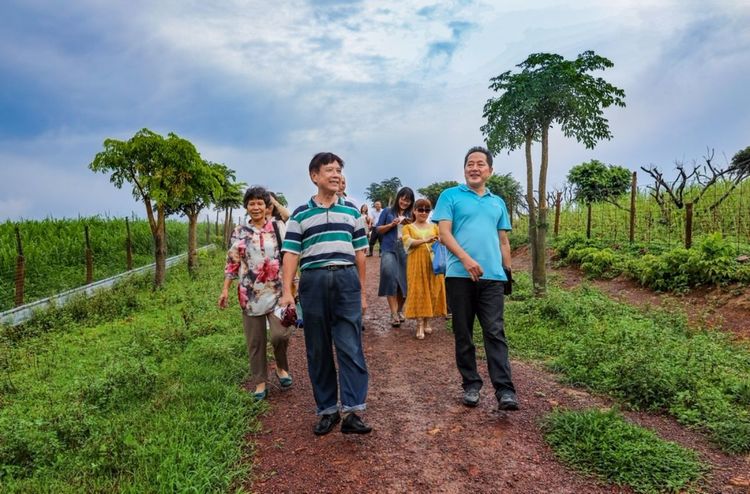 全国各地烤全羊,万人吃烤全羊