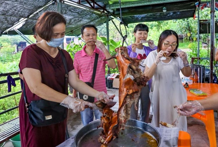 全国各地烤全羊,万人吃烤全羊