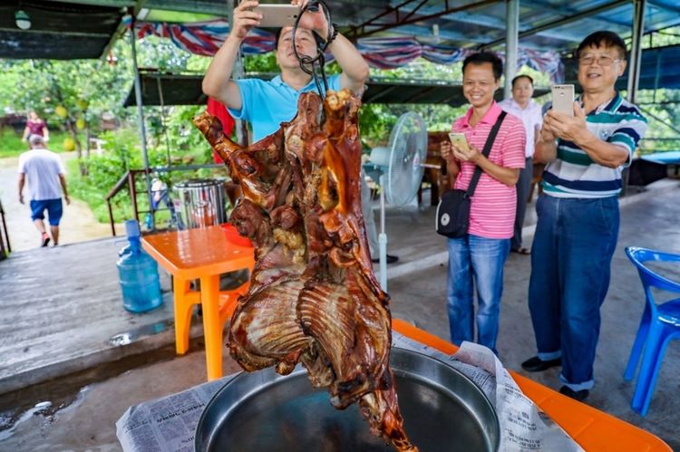 全国各地烤全羊,万人吃烤全羊