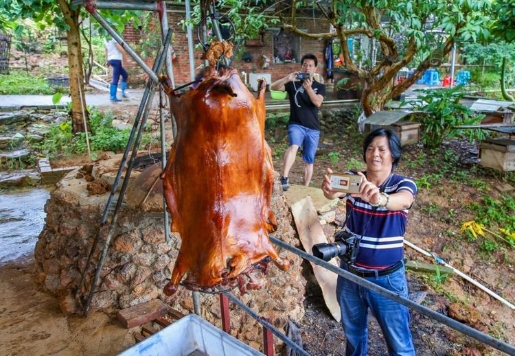 全国各地烤全羊,万人吃烤全羊