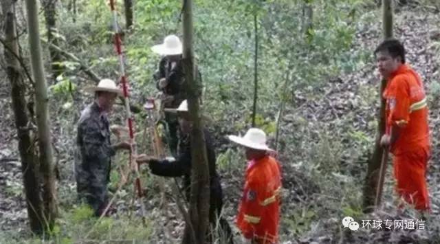 天翼通讯助力,天翼通信助力服务