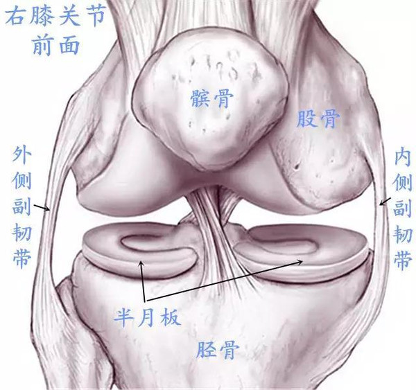 膝盖疼半月板损伤用什么药,老人膝盖半月板损伤怎么办