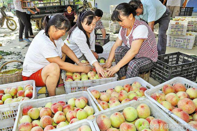 渭南昨晚新闻,渭南12月新闻