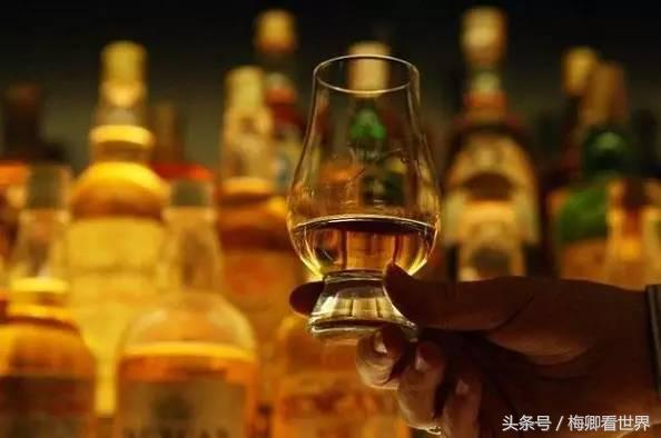 品味生命之美歌曲,生命之水感悟