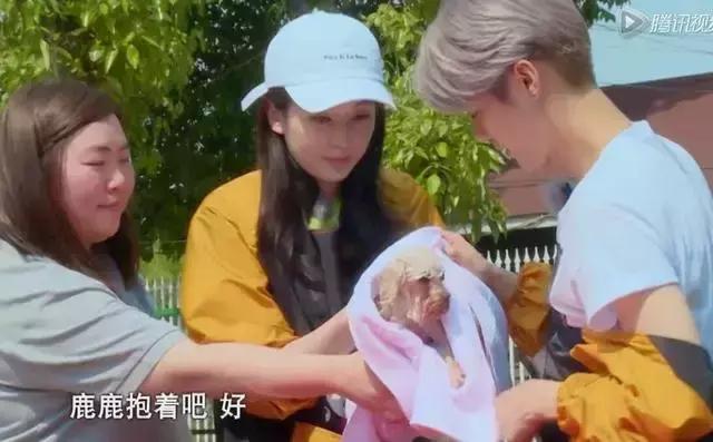 鹿晗迪丽热巴与鹿晗乔欣对比,鹿晗乔欣和鹿晗热巴