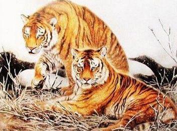 这四大生肖的孩子天生富贵命,这三大生肖的人明年喜得贵子