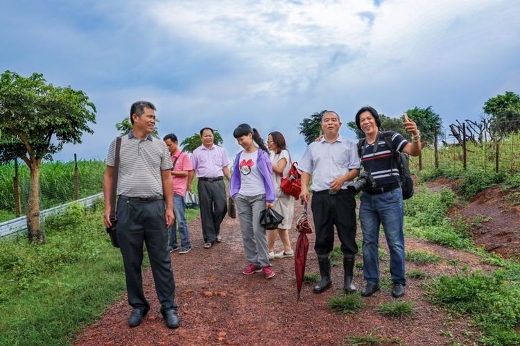 全国各地烤全羊,万人吃烤全羊