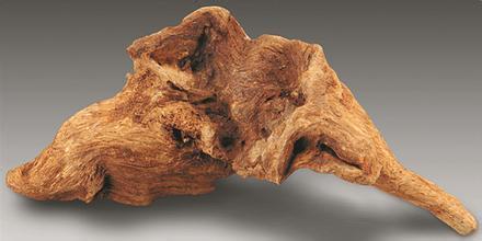 沉香的药用历史与药用研究,沉香品种的功效与作用