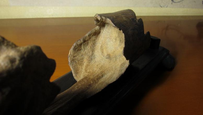 沉香的药用历史与药用研究,沉香品种的功效与作用