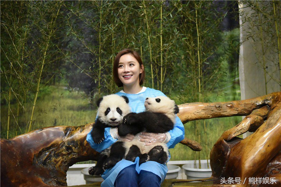 曾是丫鬟专业户，半年跑了三十几个剧组，袁姗姗：滚了几年了，我想和这个世界谈谈