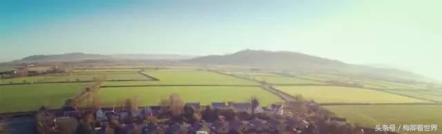 品味生命之美歌曲,生命之水感悟