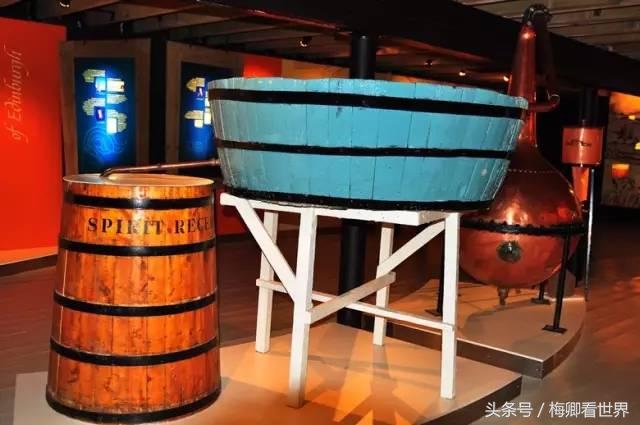 品味生命之美歌曲,生命之水感悟