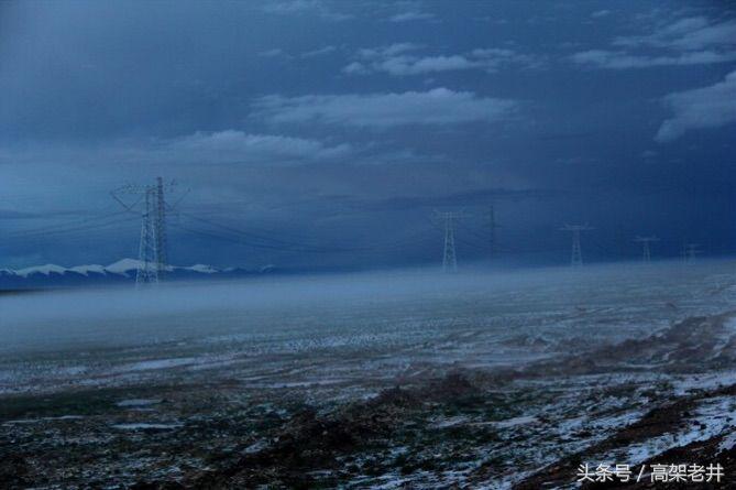 流浪的玫瑰,流浪的玫瑰歌曲