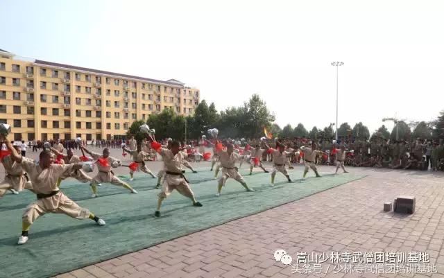 暑假可以到哪里学武术,暑假去少林寺学功夫