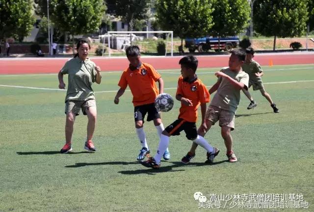 暑假可以到哪里学武术,暑假去少林寺学功夫