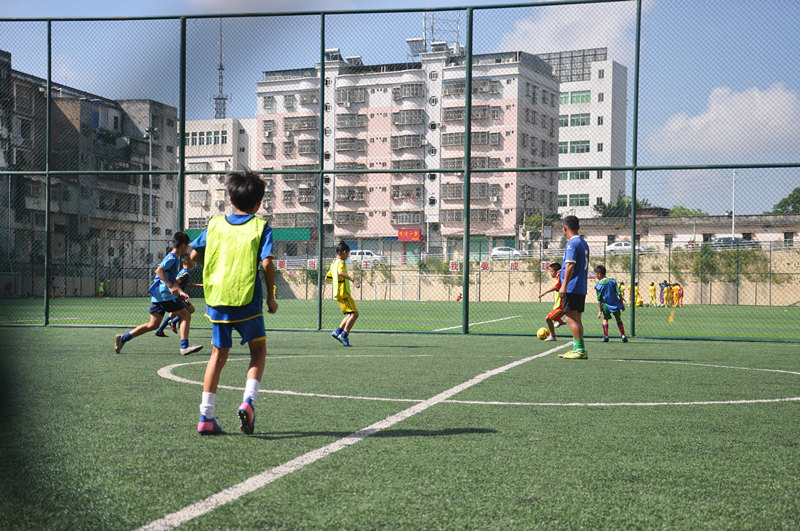 郜林投身青训感叹,郜林足球青训