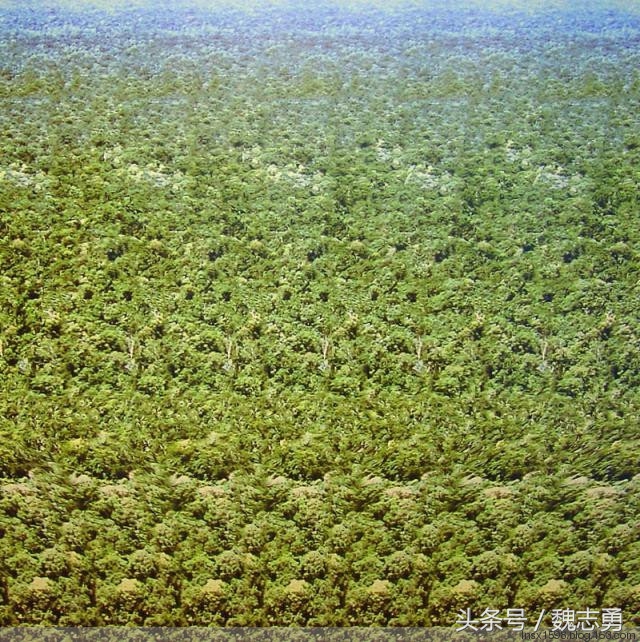 心理减压画画,减压静心的画