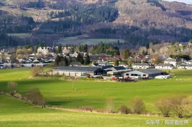 品味生命之美歌曲,生命之水感悟