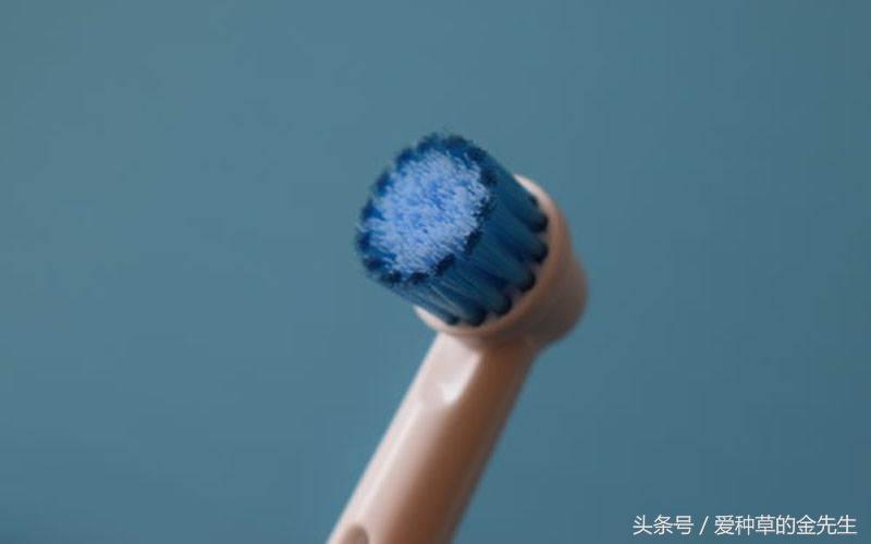 oral-b电动牙刷设计,oral-b电动牙刷刷头通用吗