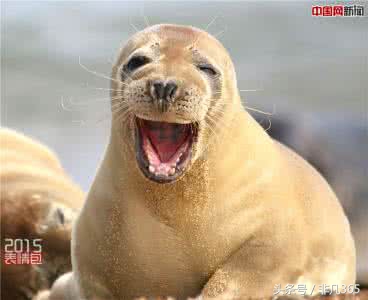 淘宝卖家回复差评的神回复搞笑,搞笑淘宝差评回复笑死我了