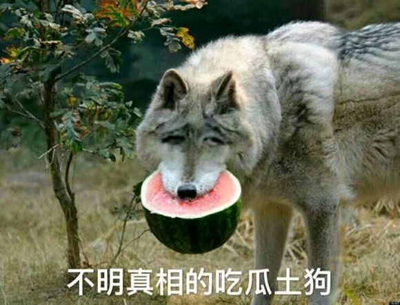 最新消息c罗,c罗被报道已通知队友想离队