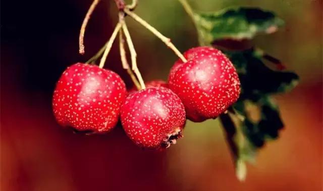 不输九寨沟的山东景点,不输九寨沟的湖