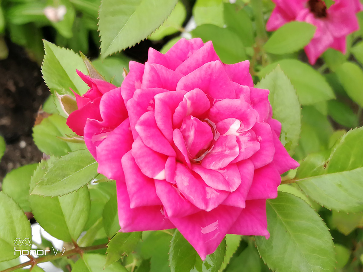 光荣9或v9值得购买吗,光荣v9光荣9哪个好