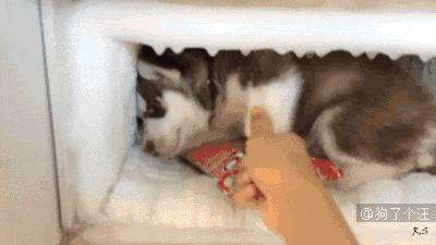 暴雨加高温预警是要下开水吗,高温暴雨双预警来袭