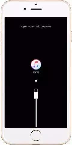 iphone输入密码多次后已停用,iphone已停用怎么解密码忘记了