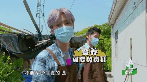 鹿晗约吧大明星,鹿晗关晓彤2017新年心愿