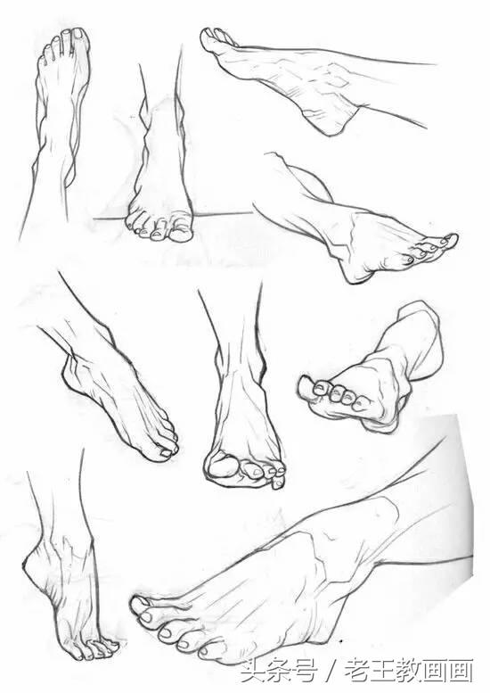 教100个零基础小白画画,100个适合零基础学习的画画教程