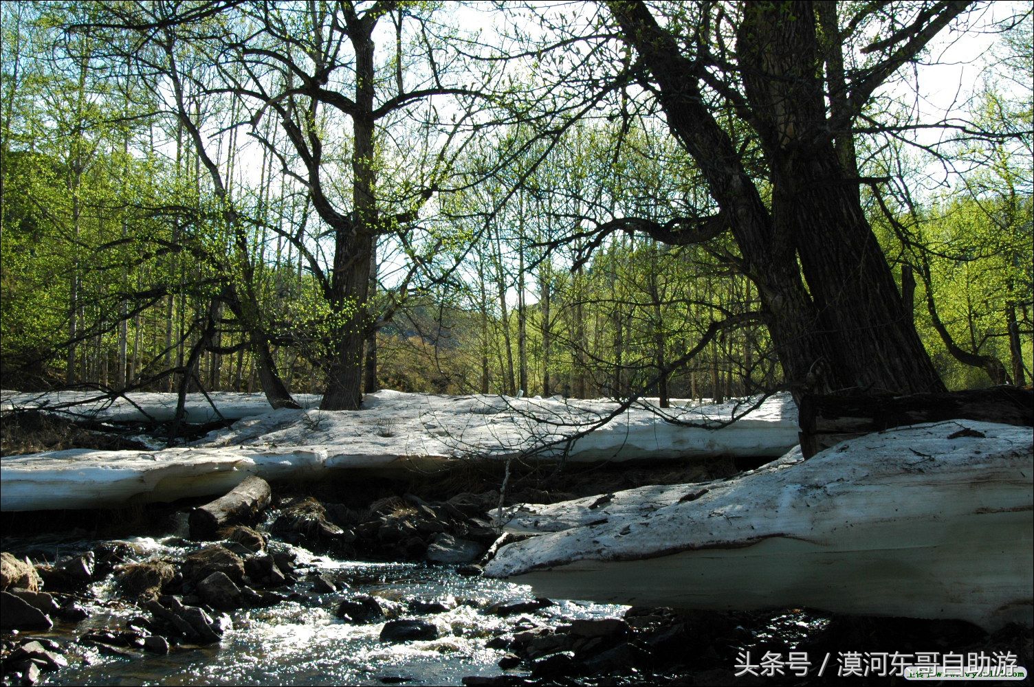 呼伦贝尔漠河旅游攻略夏季,漠河呼伦贝尔阿尔山10日游攻略