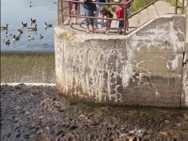 美国66号公路详细路线,美国66号公路自驾游最全行程攻略