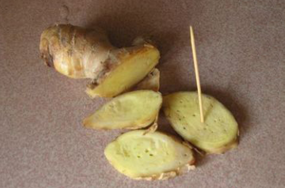 酷暑来了，家中生姜用处多多，记得多备点