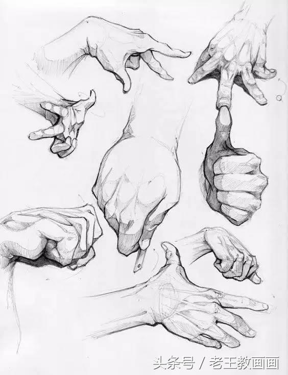 教100个零基础小白画画,100个适合零基础学习的画画教程