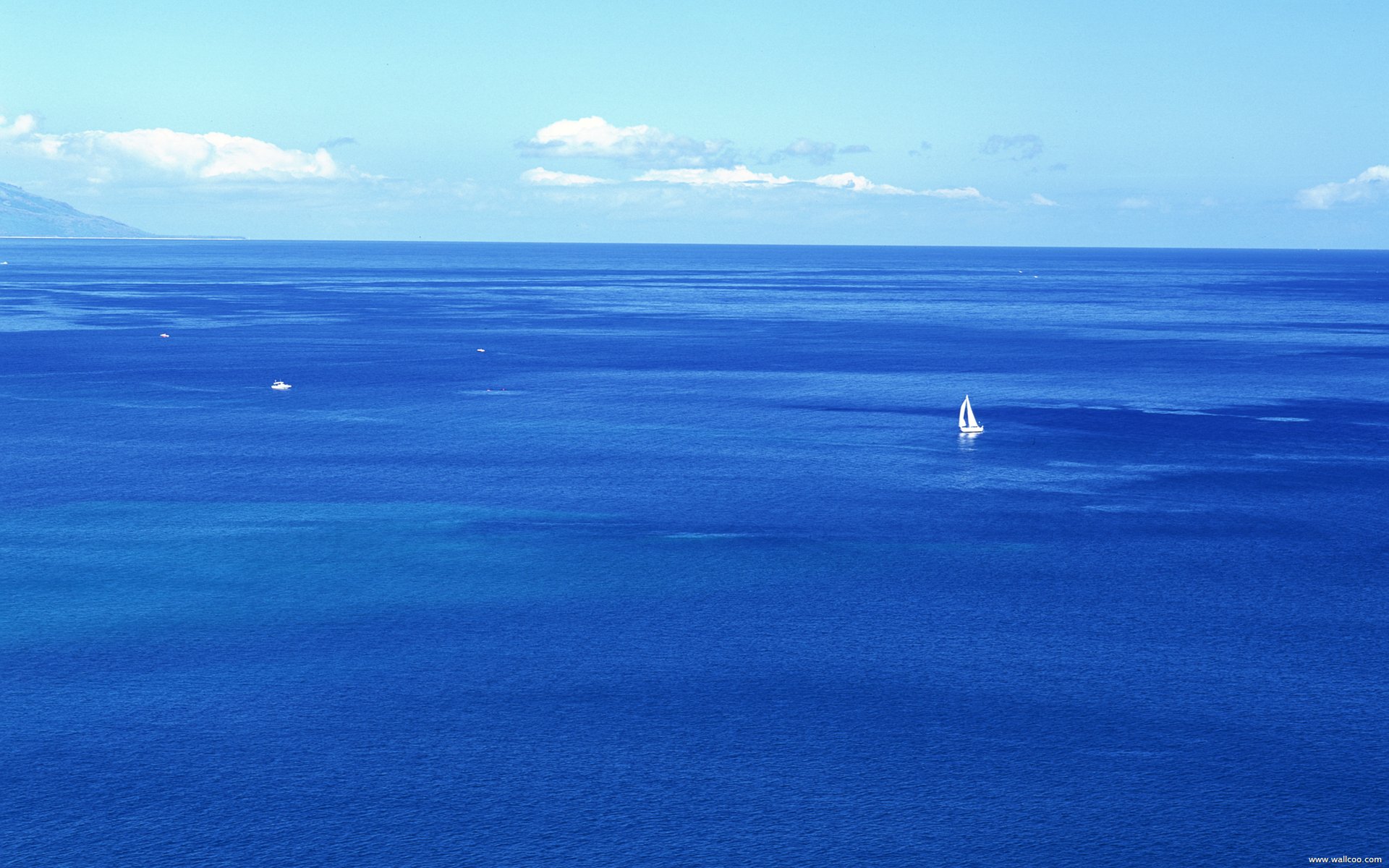 水木文摘微信公众号,水木文摘爱情美文