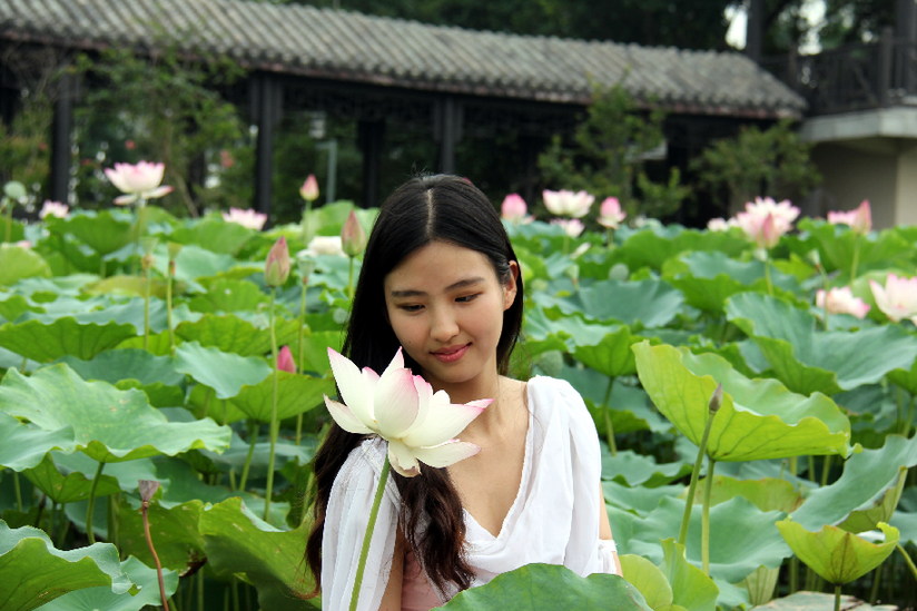 荷花和睡莲的区别在哪里,睡莲与荷花区别在什么地方