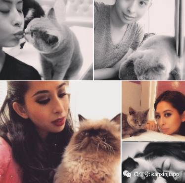 柔佛王室唯一的公主,柔佛唯一公主嫁给荷兰平民