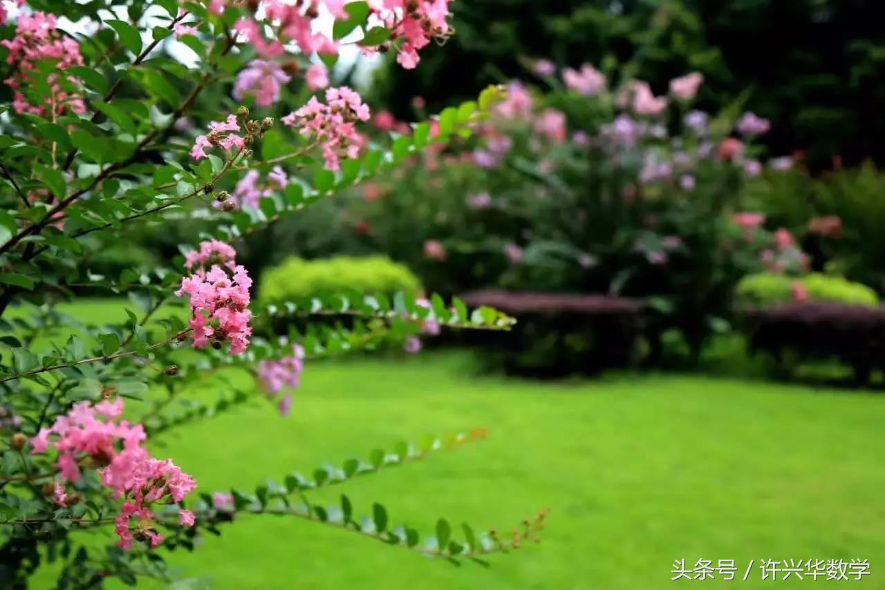 数学教授讲题,数学教授解小学题