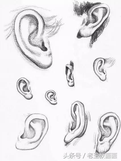 教100个零基础小白画画,100个适合零基础学习的画画教程