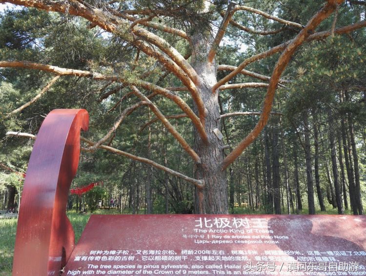 呼伦贝尔漠河旅游攻略夏季,漠河呼伦贝尔阿尔山10日游攻略